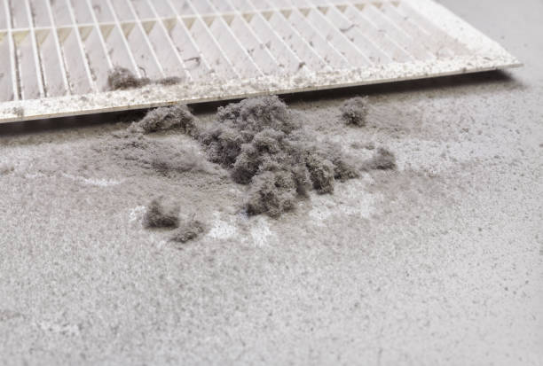 Best Best Air Duct Cleaning Company  in Bay Minette, AL