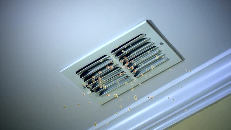 Best Affordable HVAC Duct Cleaning  in Bay Minette, AL