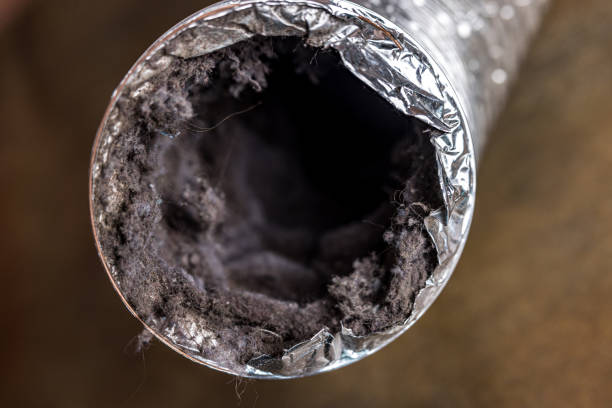 Best Local Air Duct Cleaning Services  in Bay Minette, AL