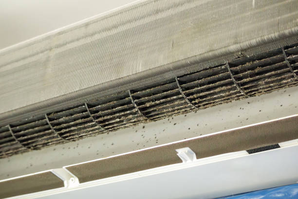 Best Air Duct Cleaning Near Me  in Bay Minette, AL