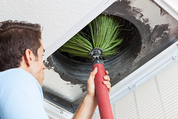 Best Affordable Air Duct Cleaning  in Bay Minette, AL